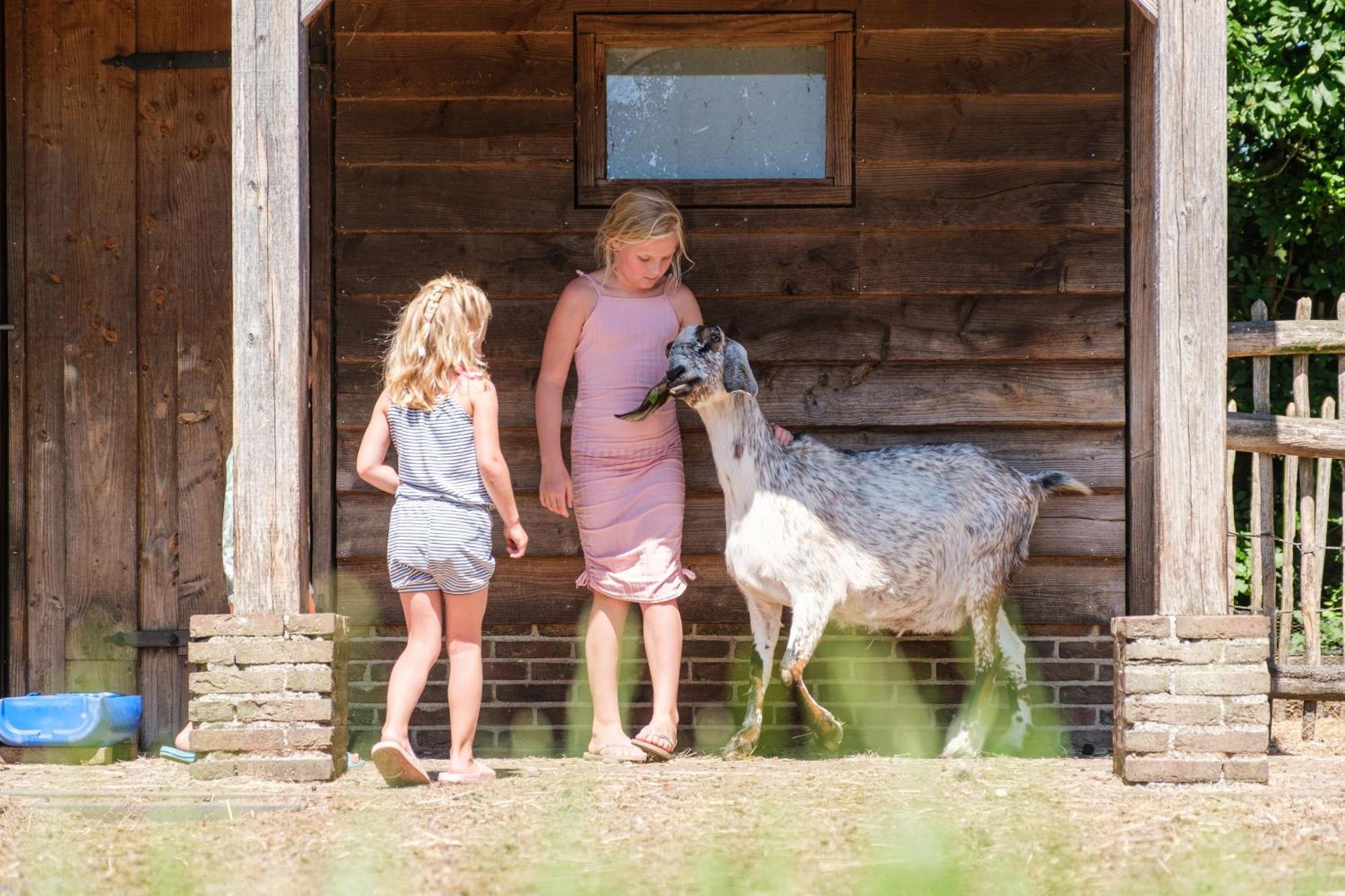 Camping De Pallegarste - Voor Uw Vakantiebestemming! Marienberg Exteriér fotografie