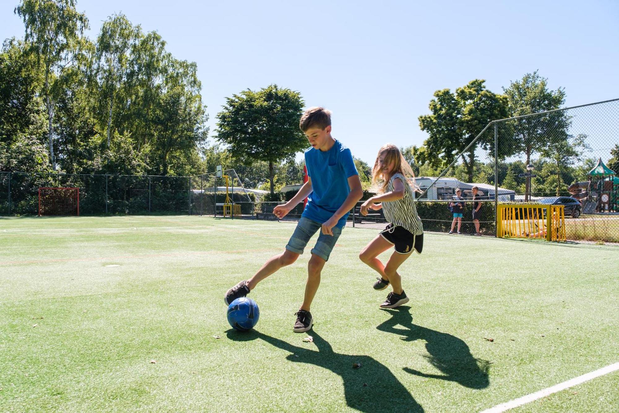 Camping De Pallegarste - Voor Uw Vakantiebestemming! Marienberg Exteriér fotografie
