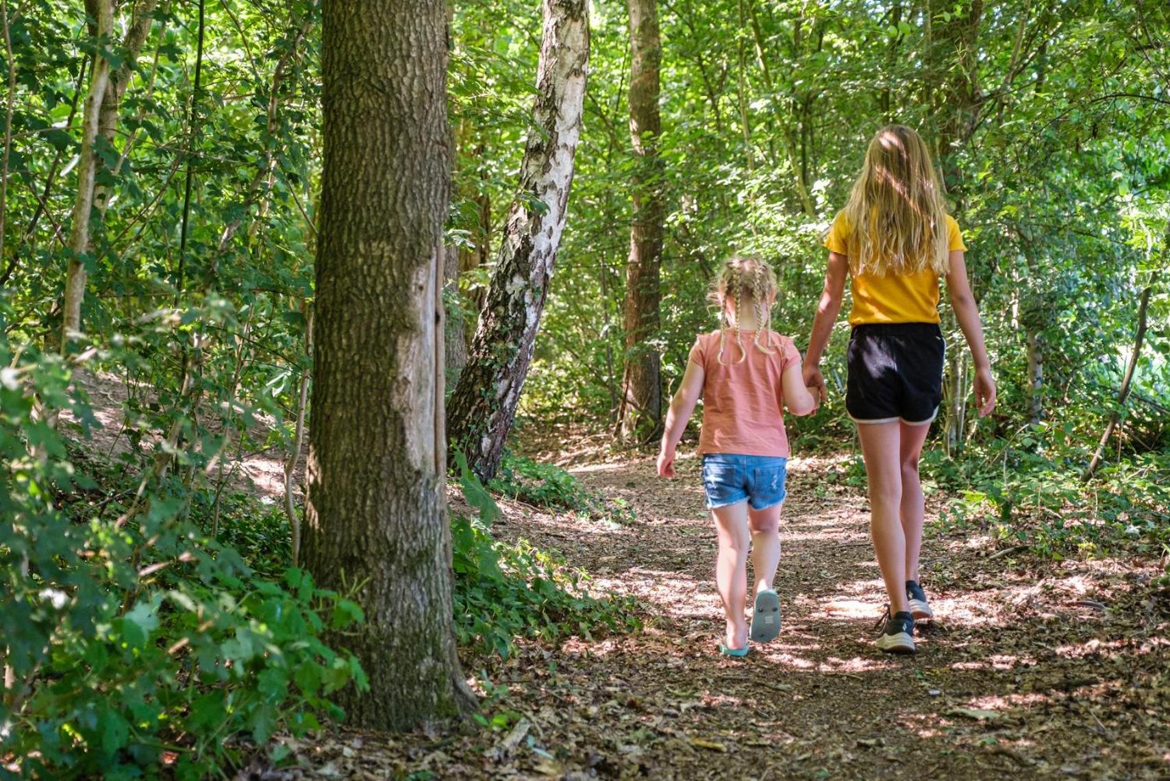 Camping De Pallegarste - Voor Uw Vakantiebestemming! Marienberg Exteriér fotografie